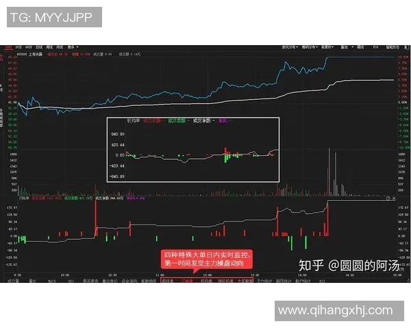 同花顺平台助力投资者决策优化，全面解析股市动态与财务数据