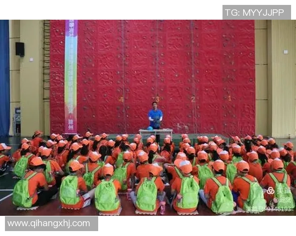 南京攀岩队心理素质研究：挑战自我与团队协作的心灵之旅