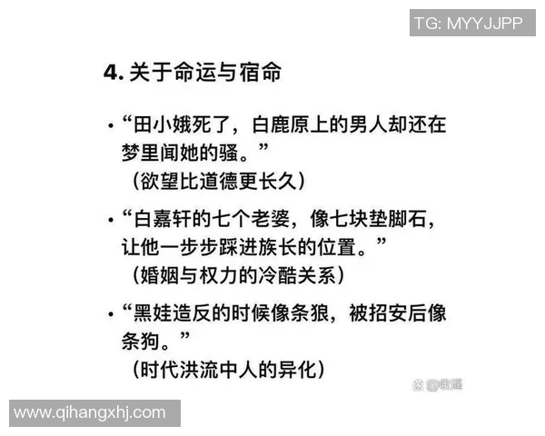 残酷竞争下的生存法则与人性挑战探析